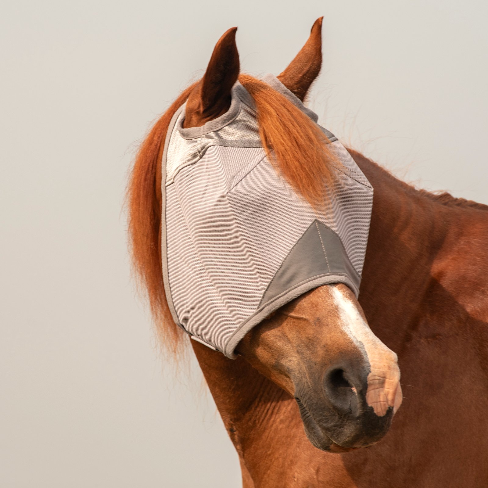 Standard Fly Mask